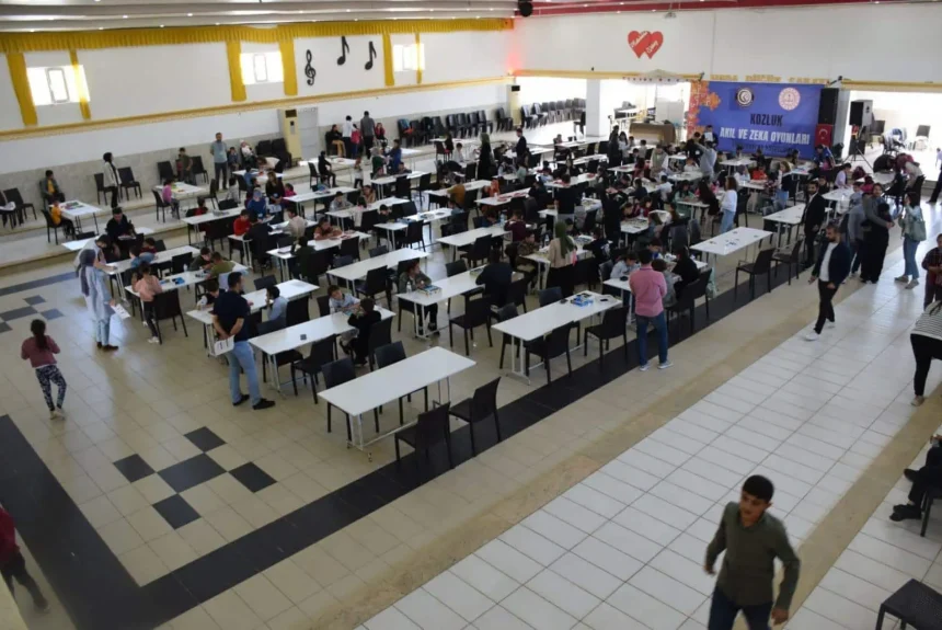 Akıl Zeka Oyunları Turnuvaları