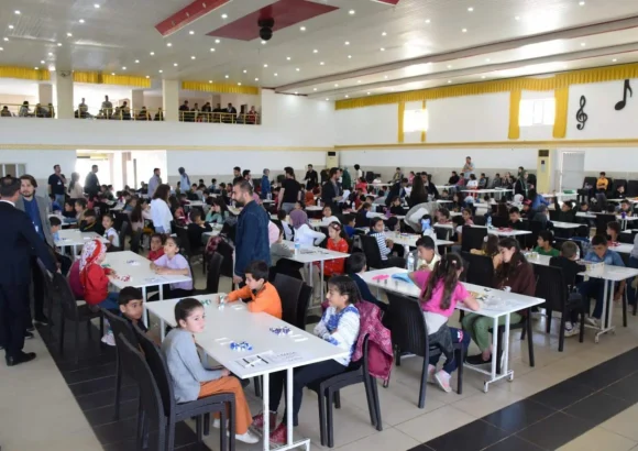 Akıl Zeka Oyunları Turnuvaları